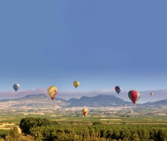 Marques De La Rioja Logroño Exterior foto